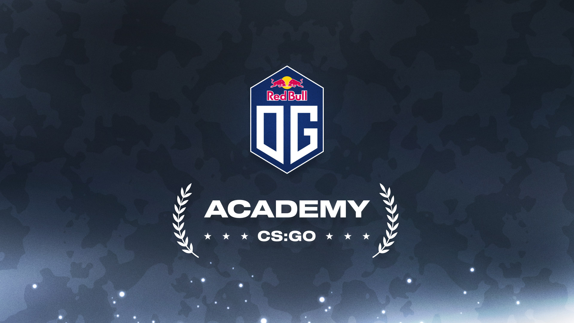 Future Seeds: OG CS:GO Academy | OG